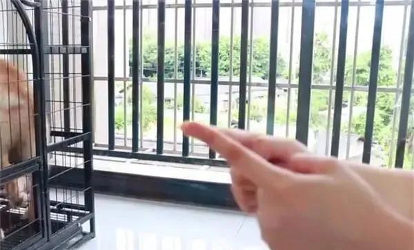 1598774715959918.jpg 微信圖片_20200830155529.jpg